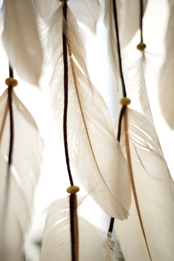 Elevate your space: 5 stylish ways to use natural feathers